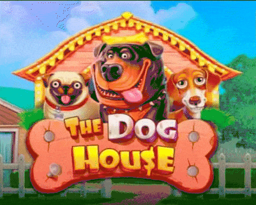 Play The Dog House in Spinchester Casino